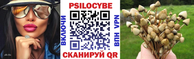 ОМГ ОМГ рабочий сайт  Клинцы  Псилоцибиновые грибы MAGIC MUSHROOMS 